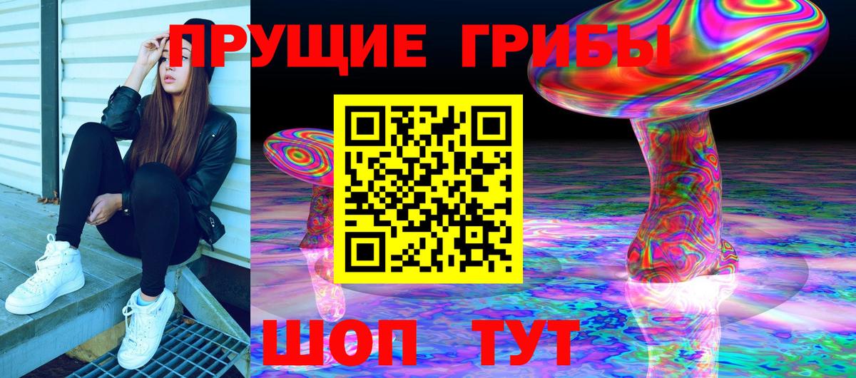 Галлюциногенные грибы MAGIC MUSHROOMS  Вход с VPN  Моздок 